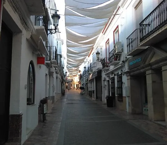 Boutique Luna De Olive Oil Free Degustation & Sale Nerja