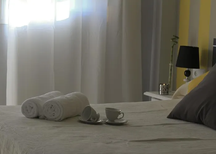 Boutique Luna De Olive Oil Free Degustation & Sale ネルハ